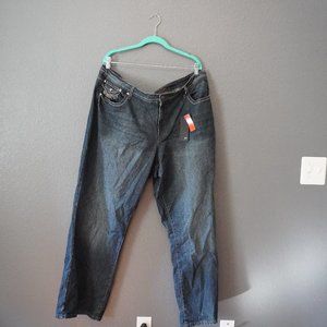 Earl Embellished Boot Cut Jeans Size 24W NWT